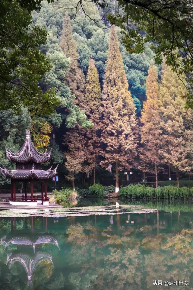 在泸州，我真的很羡慕住在老城区的人！