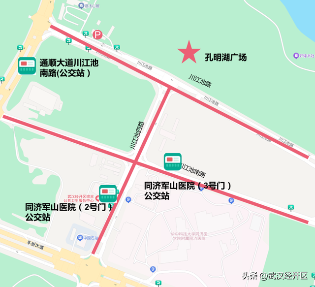 武汉经开区菊花天团已就位，等你来打卡