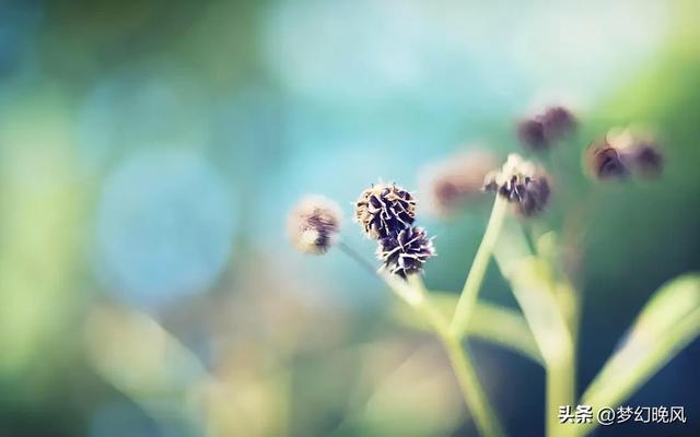 没有夫妻生活的男人,往往逃不过这3种行为,很现实,也很扎心