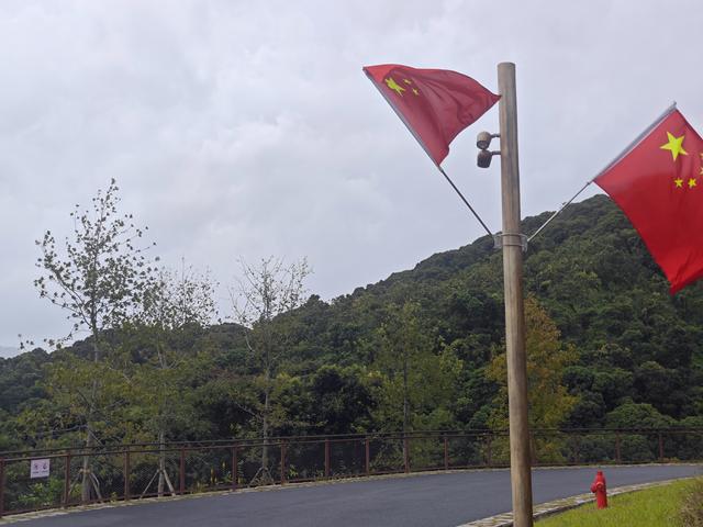 西丽湖国际科教城绿道高清随拍