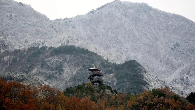 汉中各大景区银装素裹！快来共赴2025年第一场冰雪之约 →