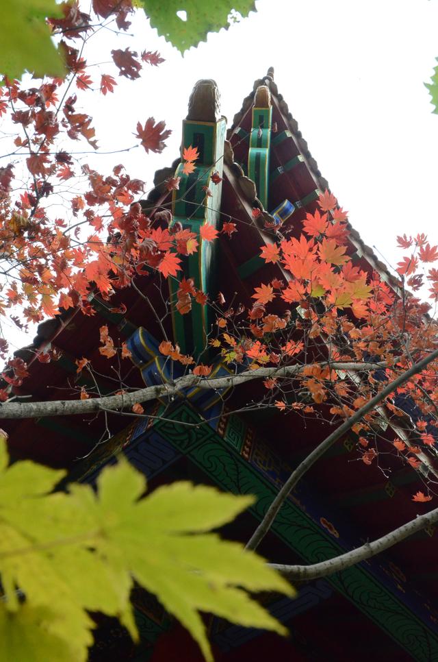 邂逅身边的绝美秋色