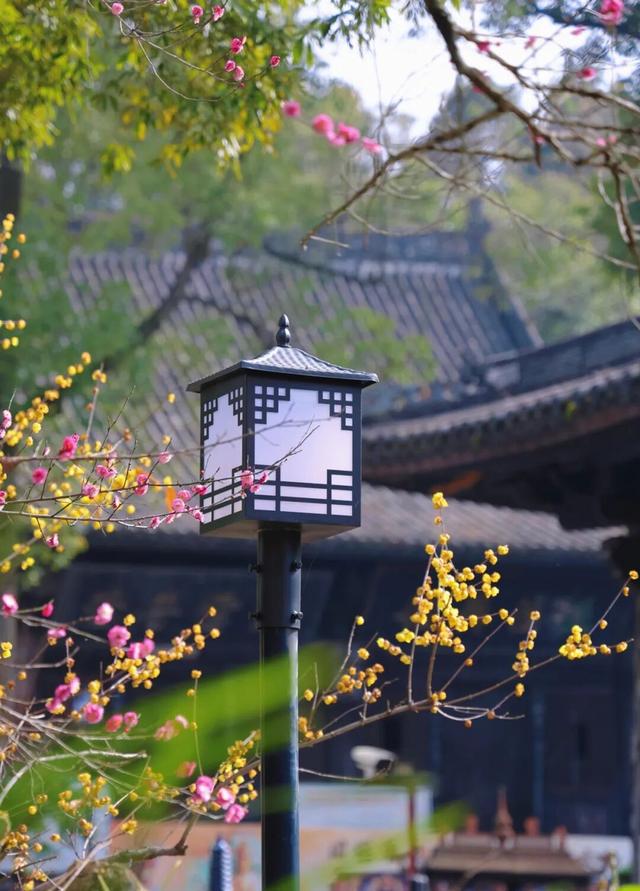 观音寺，太出片了！