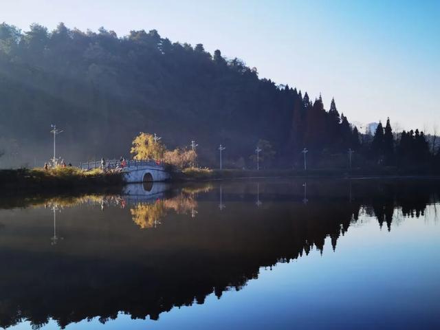 银杏拍照指南！10个出片宝藏地+3个手工教程，手把手教你出片！