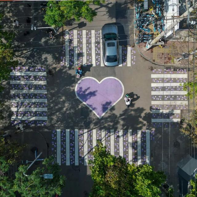 济南金秋热门打卡地TOP10出炉！带你沉浸式体验泉城秋韵！