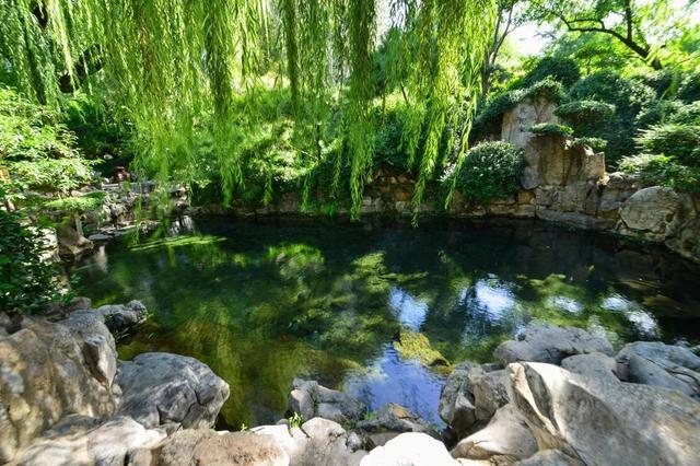 月牙泉“醒”了！济南泉水迎来最佳观赏期！