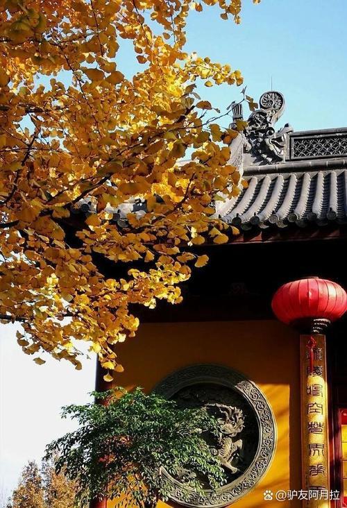 千年古刹免费背后：杭州文旅如何用“舍”换来万亿级流量密码？