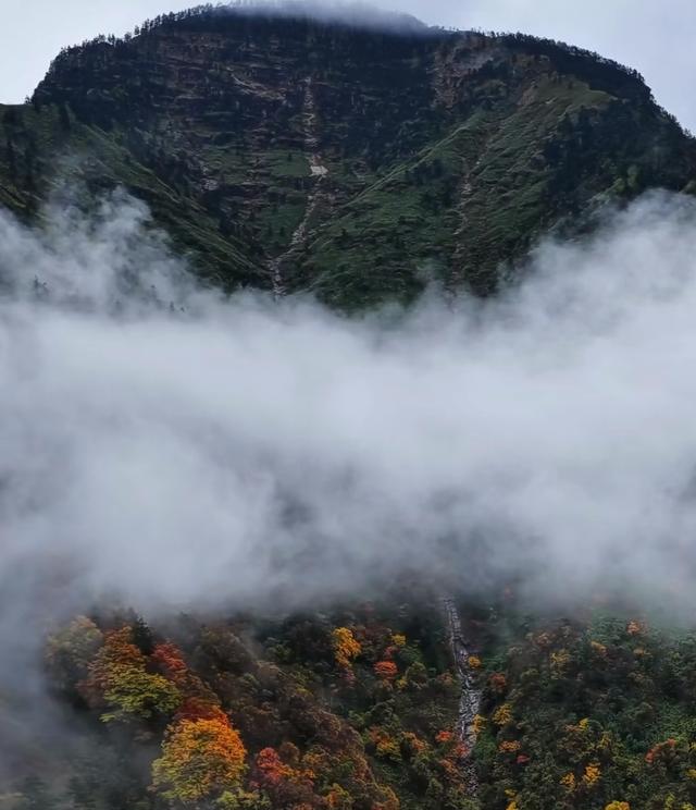 雾锁摩天岭：山与云的共生诗