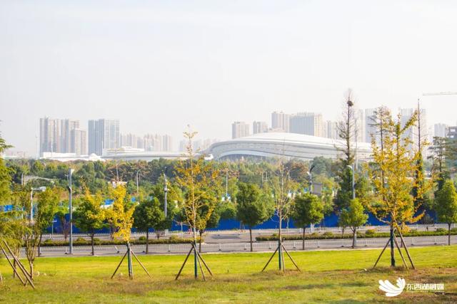 东西湖这座山，变了！