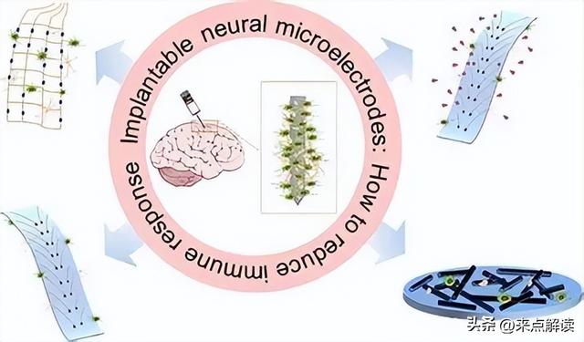 神经直读闯关成功！意念操控仿生假肢，千万截肢者迎来新希望
