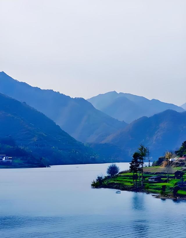别等春天！陇南的冬日密语里，藏着限定版春日烂漫