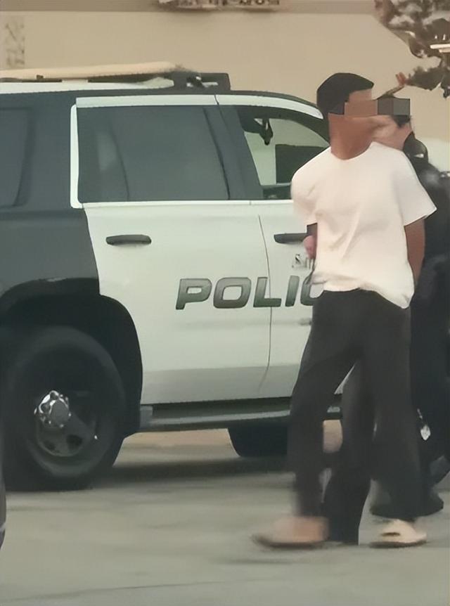 在美国卖酱香饼小伙被捕为何引关注