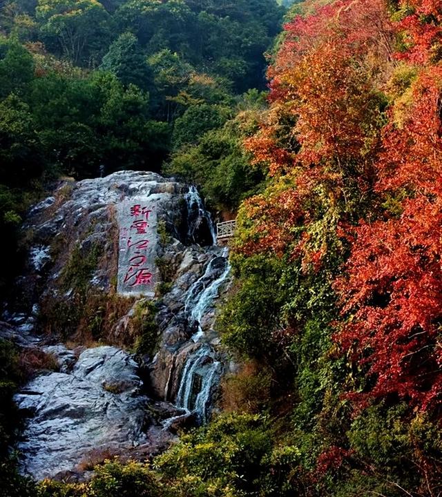 韶关4条“秋日神仙线路”登场，活力越野、银杏赏秋、非遗美食承包你的快乐旅途→
