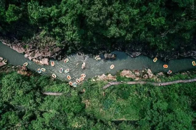 壮美五指山，我要给你五颗星