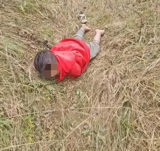 4岁女童深山获救全网揪心,10万酬金背后的温暖抉择令人动容