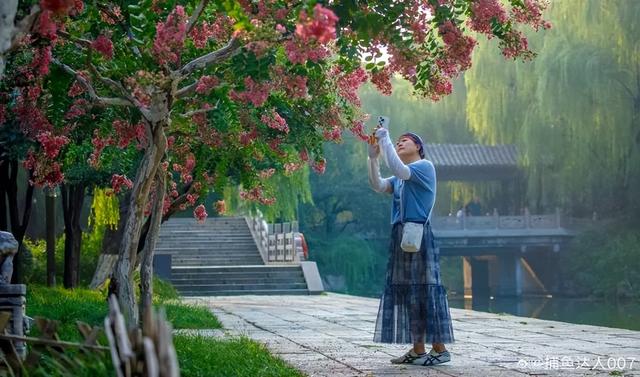 又一批“济南寻美客”出炉！欢迎你也来将济南的美定格