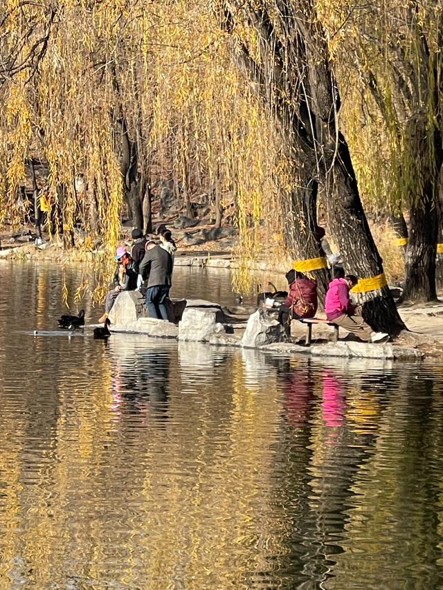 七绝：小雪时节访圆明园
