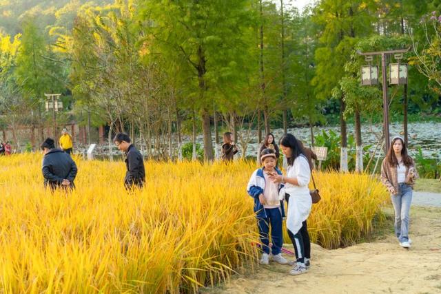 就现在，一起去南山公园遛弯~