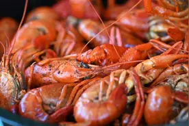 价格暴跌50%，“还会再降”！很多上海人专程来这里，太火热了图片