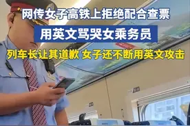 火了！高铁上飙英语辱骂列车长女子身份被扒，职业生涯恐怕受影响图片