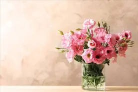 今日母亲节，分享28句经典祝福语，献给天下的妈妈，暖心不落俗套图片