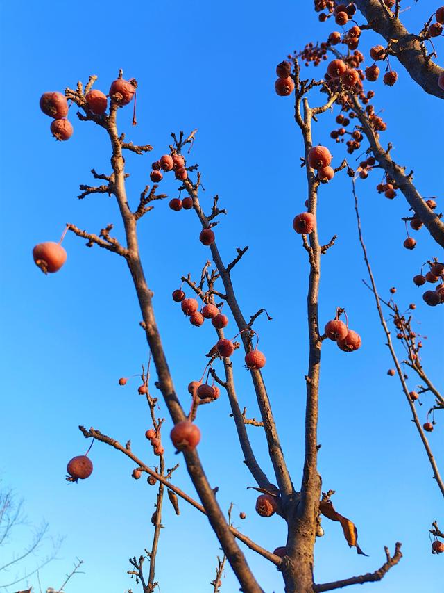 旧时光里的温暖	，是奶奶的土药方