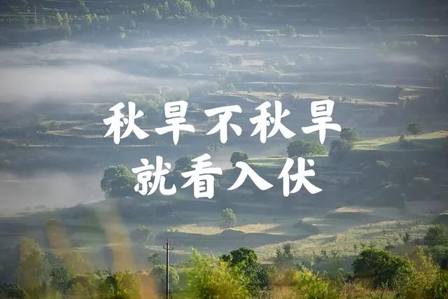 “秋老虎猛不猛，就看入伏”，今日入伏，今年立秋后还要热多久？