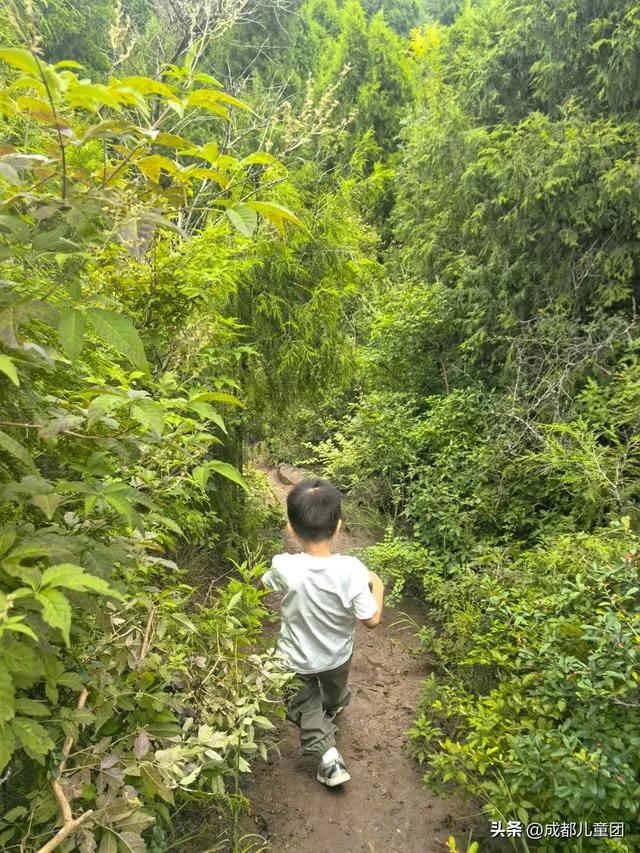 10条初秋徒步线路，去草甸、果园、森林里找秋天