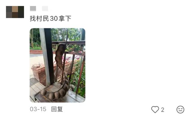 这可能是我买过的最离谱的特产：