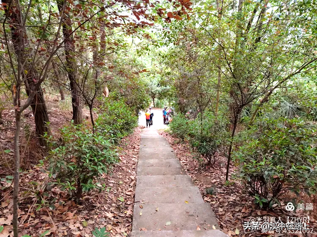 汉中灌子山行记：寻觅张鲁女墓！