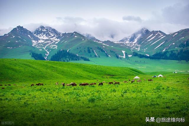 逃离酷暑，这6个避暑天堂自带20℃空调，本地人收藏的宝藏地方