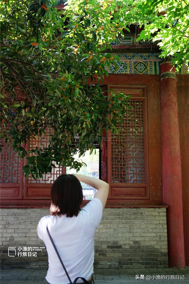 彼岸花开！西安9月绝美秋色，都藏在这座秘境古寺里！花美景更幽