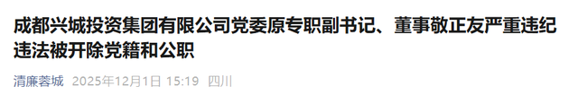 城投集团董事长被查！