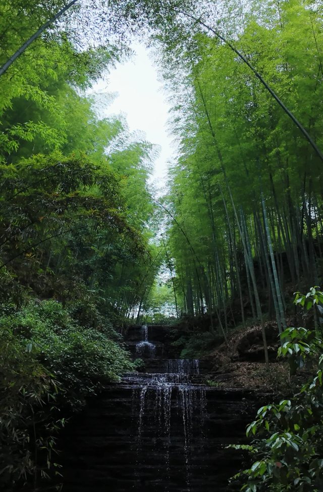 旅游新宠！成都最快1h可达的10个川内宝藏县城，景色封神！好吃好耍！你最想去哪个？