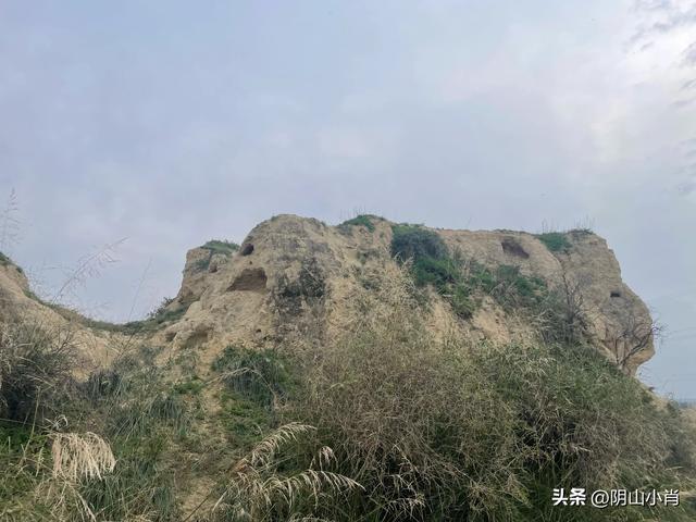 呼和浩特市托克托县田野考察笔记