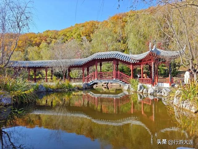 色彩峰值~走进横山公园“枫”景大片！