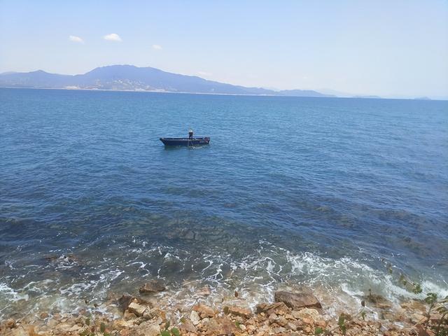 潮汕金钱鳘鱼胶 2026年金钱鳘鱼胶最贵1克多少钱