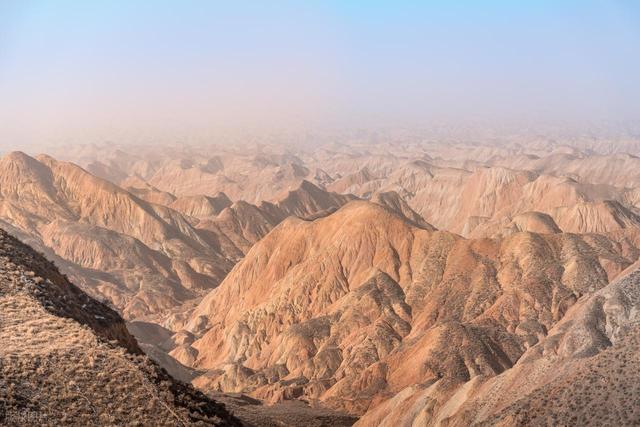 感觉甘肃的黄土高坡上的土其实挺厚的，但为啥只有黄土上不长树呢
