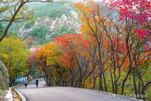走不出这画了,我已被西海岸的秋景迷倒 🥹
