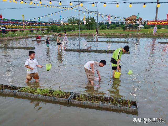 "鱼"悦盛夏 云梦陶楼庄园打造亲子避暑新体验