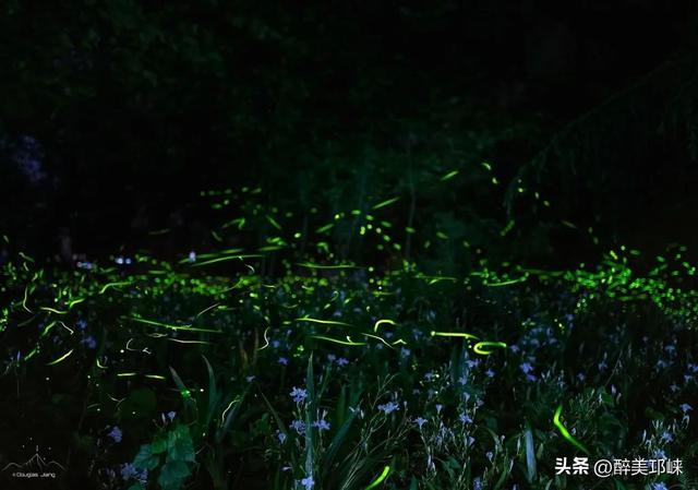 免票、半价……邛崃多个景区向成都世运会参与群体推出系列优惠政策