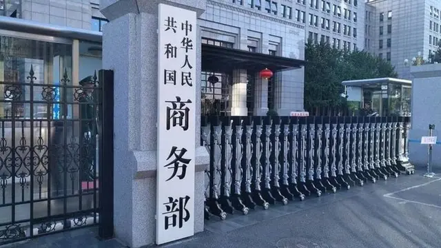 荷兰政府发现: 冻结闻泰股权事件并没按预期发展! 而是开始走向失控