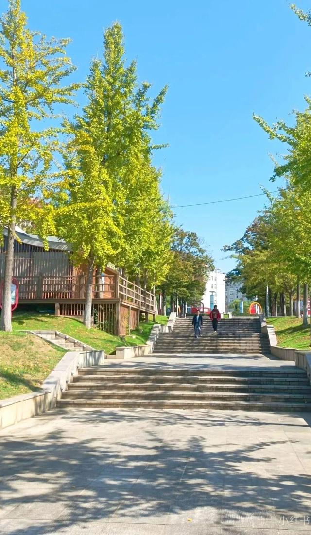 游在鹰潭｜这座城市秋日杀疯了！4重甜感暴击，谁来谁上头！「全球学子嘉游赣 奇绝鹰潭逍遥游」