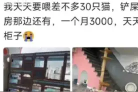 那些传闻中看似体面，实际上工资很低的工作有哪些？图片