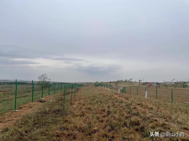 鄂尔多斯市达拉特旗田野考察笔记