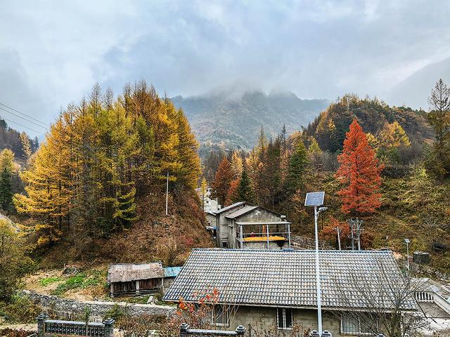 2024深秋四川行19 神农架风景区2 华中屋脊的五彩秘境