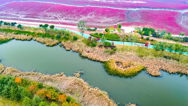 红石崖街道红海滩边上的这个地方秋色正浓，静美秘境竟然美成油画