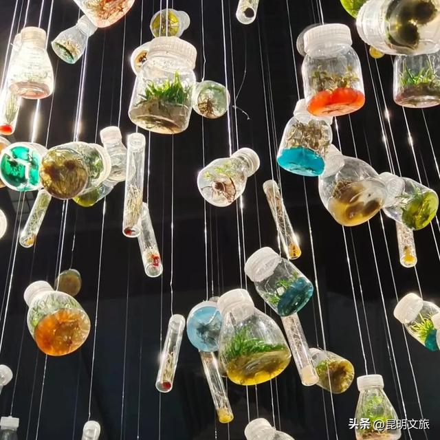 初冬出片C位！昆明这个地方必须榜上有名，周末抓紧冲~