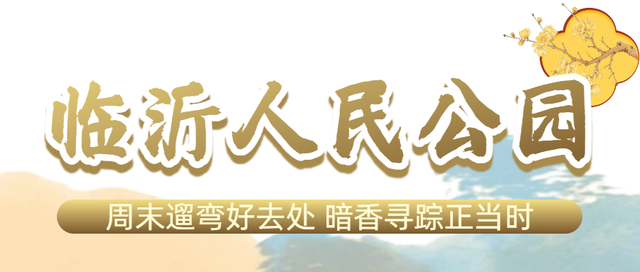 花开有时・四季有诗 | 冬享沂蒙过大年，临沂腊梅邀你赴一场暗香之约