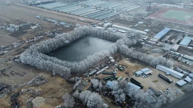 大雪时节台安雾凇绽放 绝美风光引客打卡